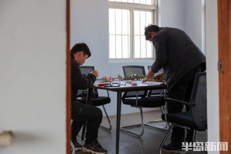 青岛樱花品种大全,青岛绿色樱花品种