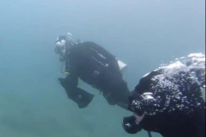 古韵新声话秦淮,古韵新声讲解屠苏酒