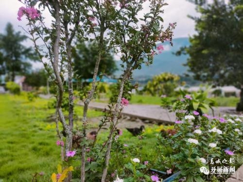 保山旅游攻略一日游景点,保山市旅游攻略一日游景点推荐