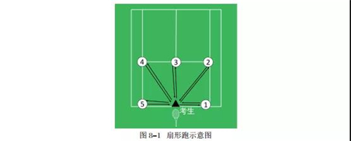 青岛二中2019年体育特长生名额,青岛26中足球特长生录取名单
