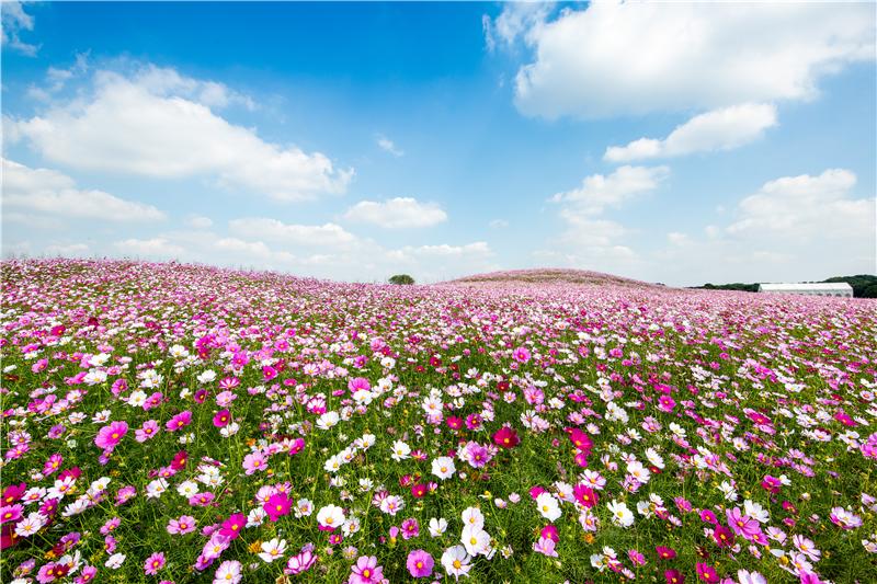 北京五一出游攻略大全,五一假期出游攻略江西