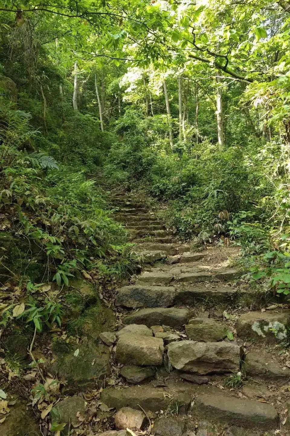 义乌美食及景点,义乌一日游必打卡美食