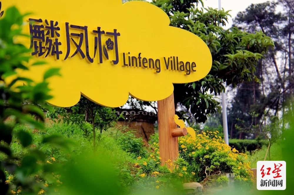 蒲江周边一小时玩耍地方,成都蒲江附近游玩的地方推荐