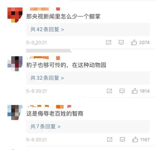 半岛聚焦丨只认“金钱”不识“豹”，为了流量闹哪样？盘点杭州“瞒豹”事件始末