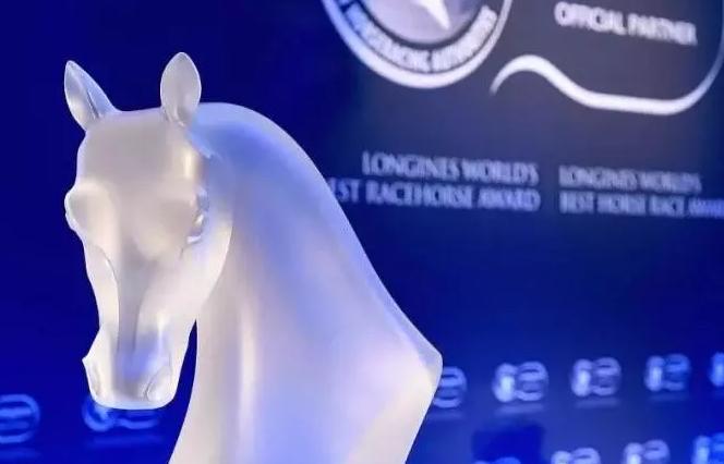 中国马匹身高排名,世界上最强悍的马匹排名前十