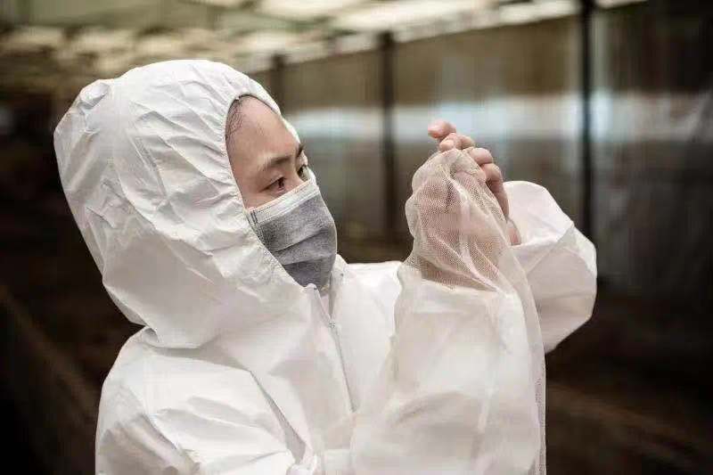 为7万多只虫子建档入库，中山这项研究获得省科技进步二等奖