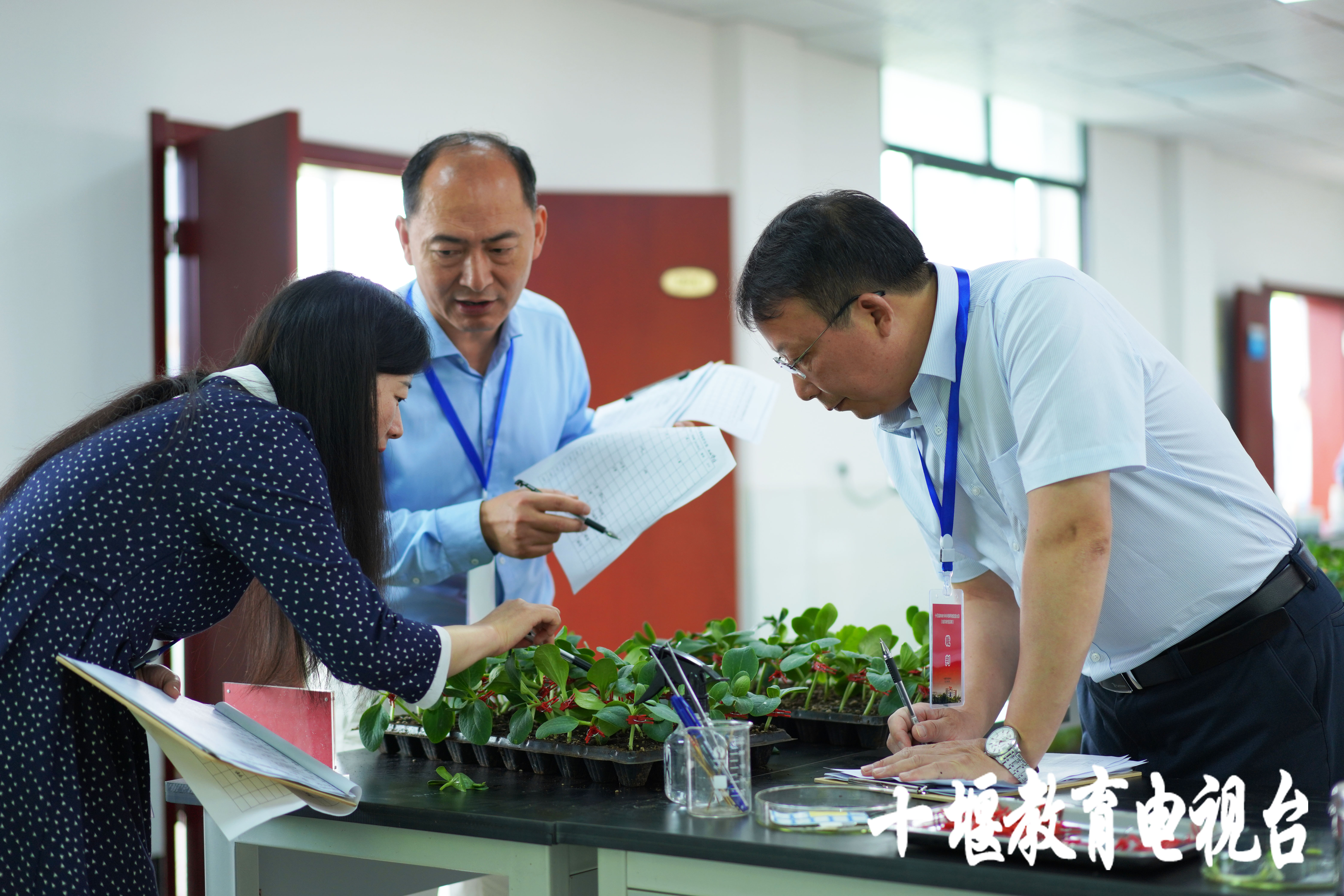 移花接木这一招,最离谱的移花接木