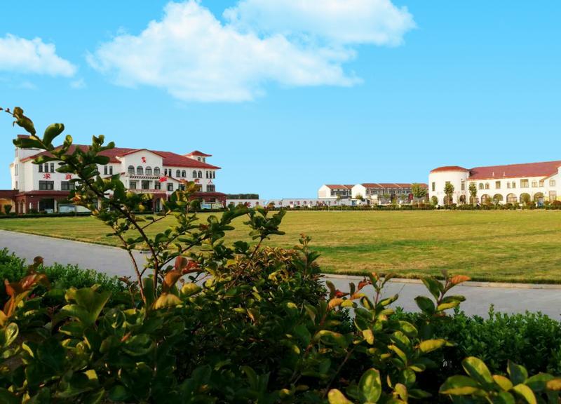 打造中国最美乡村,打造最美乡镇