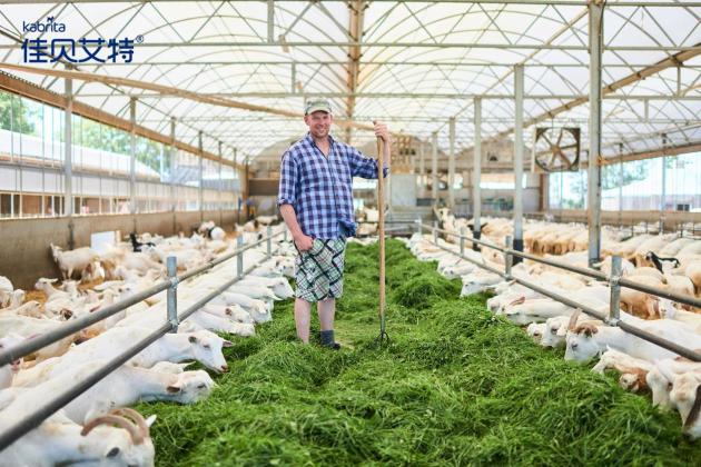 宝妈挑选奶粉如何避坑,宝宝奶粉口碑最好的羊奶粉