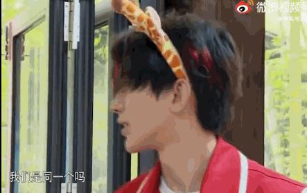 蔡徐坤金靖被逗日常,蔡徐坤金靖最新一期