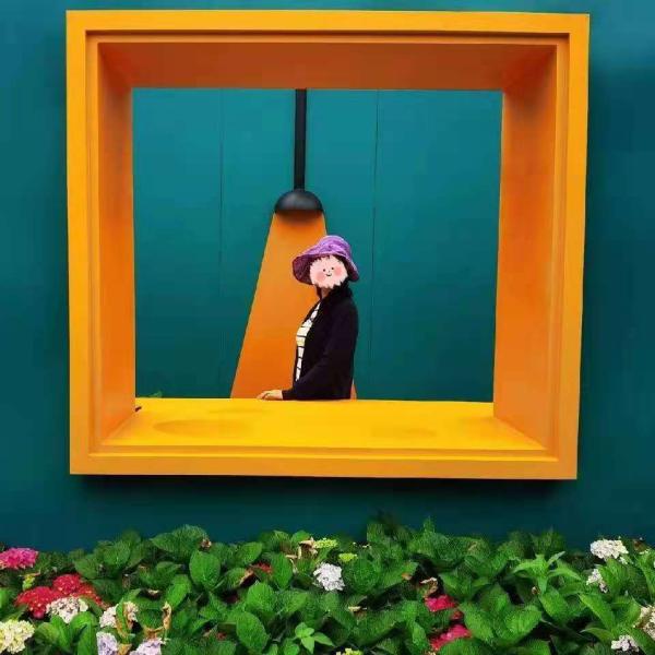 五一游花博会攻略,花展怎么玩