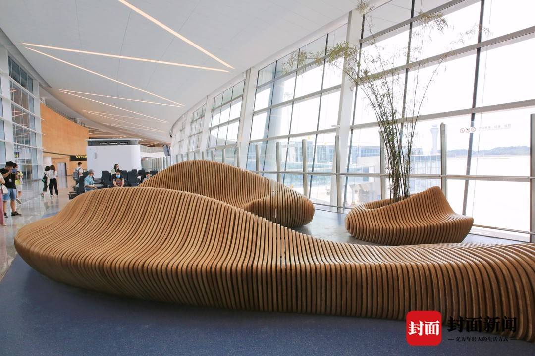 游客视角看神鸟｜大型绿色智慧“面子工程”用了特别材料的玻璃幕墙长这样