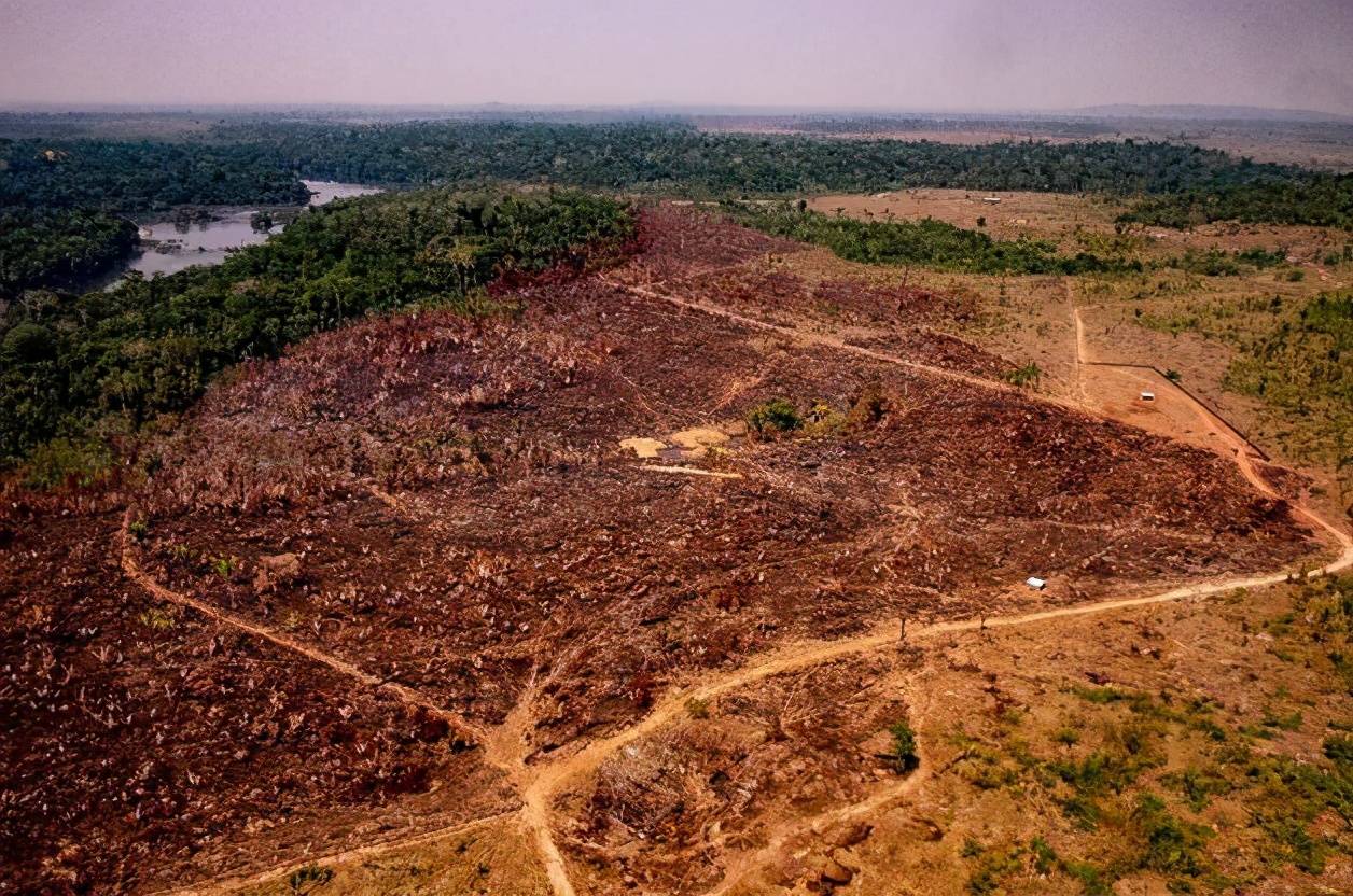 巴西遭严重洪灾,巴西干旱2019
