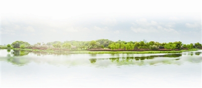 清水源业绩增长“后劲不足”