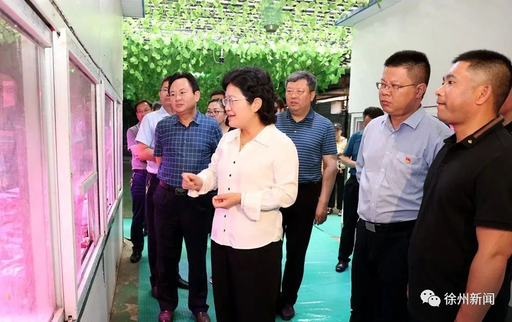 书记与县长,书记每周工作安排