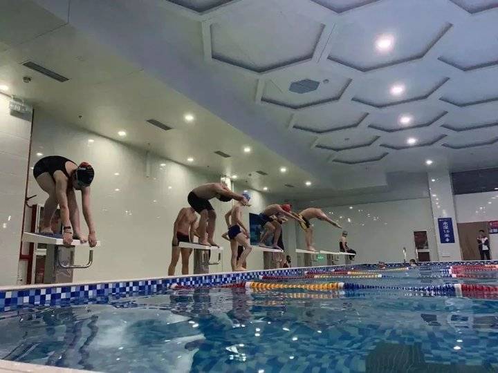 271教育升学率怎么样,对271分权赋能的感悟