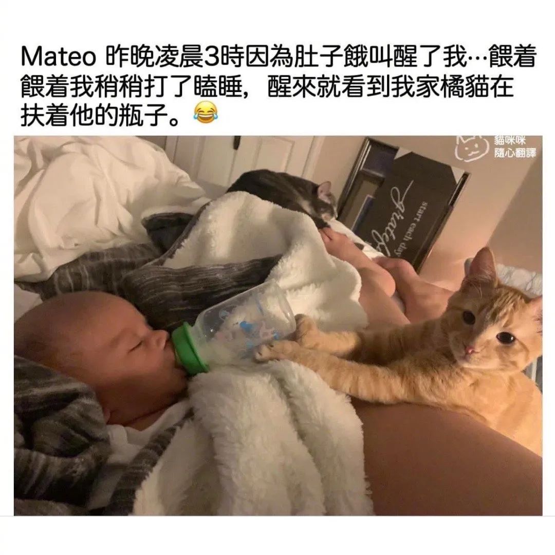 豆瓣与虎扑哪个好,豆瓣和虎扑哪个好