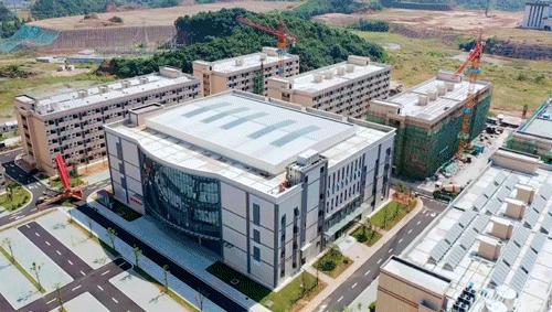 动图运动会,动图赛龙舟