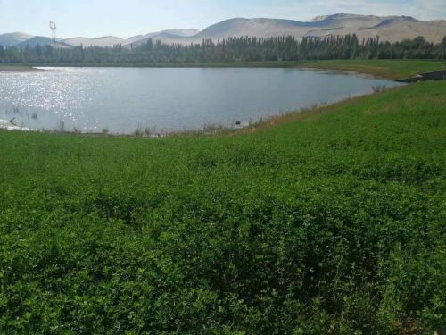 月牙泉补水工程,月牙泉人工补水工程示意图