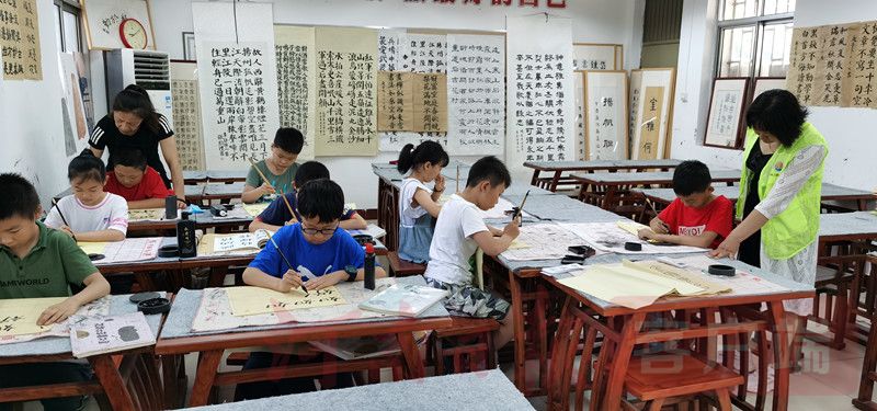 金观察,金观察的最新视频