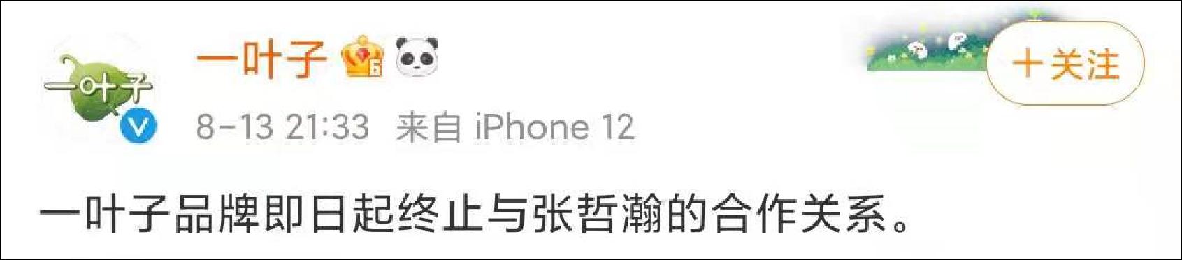 张哲瀚代言品牌均宣布终止合作