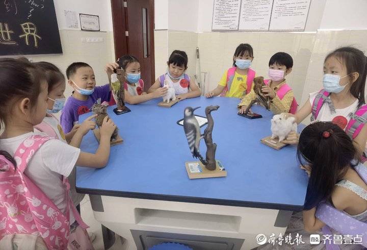 开学仪式暨开学典礼,济南小学开学典礼