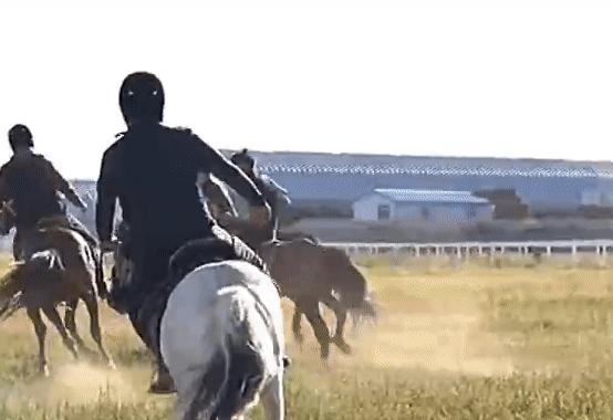 马术运动中国,中国马术运动