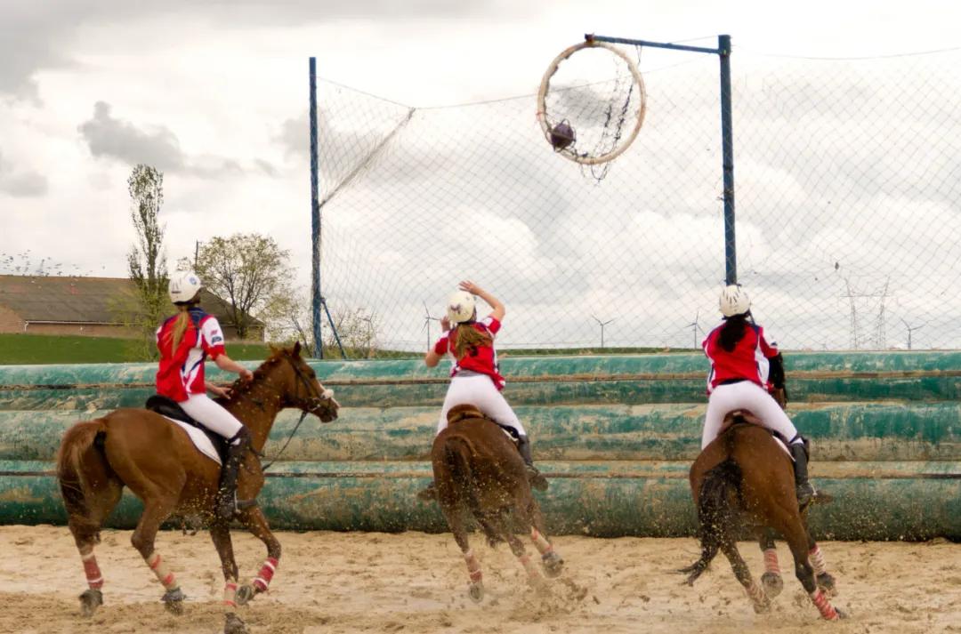 马术运动中国,中国马术运动