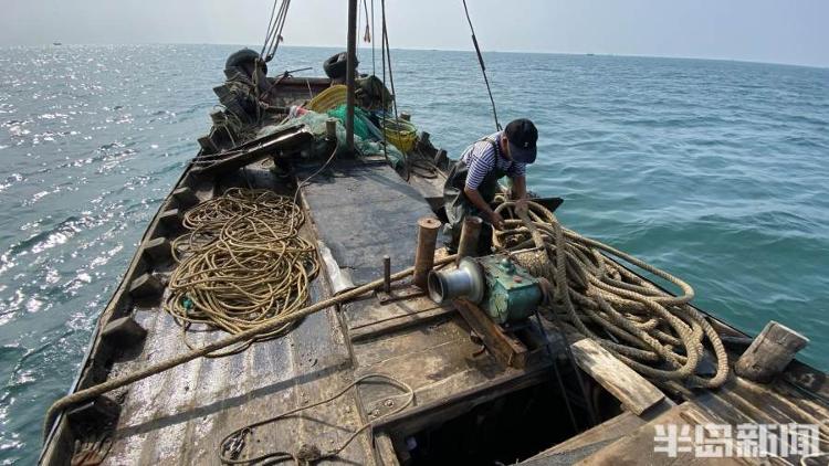 半岛聚焦丨从网捕到上码头仅1小时，最新鲜的“小船海鲜”怎么捕来的？