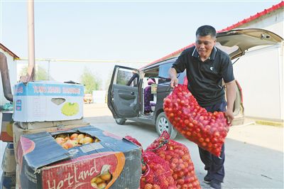 小沙果成了“金果果”