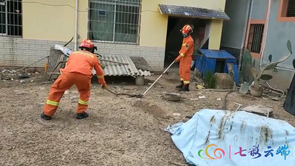 西双版纳热带雨林里有哪些毒水蛇,福建眼镜蛇是国家几级保护动物
