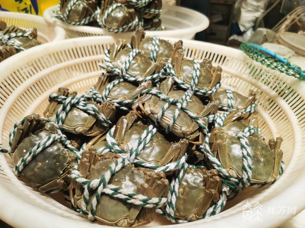 买回来的活螃蟹不马上吃怎样储存,如何吃螃蟹才能保留完美的蟹空壳