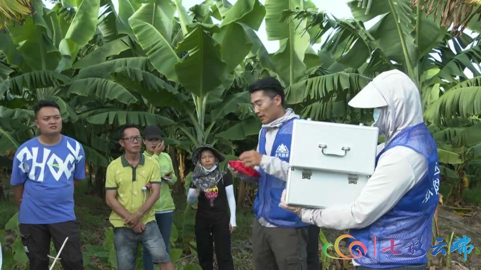 红火蚁防治方法主要有三大类,红火蚁防治方法大全视频