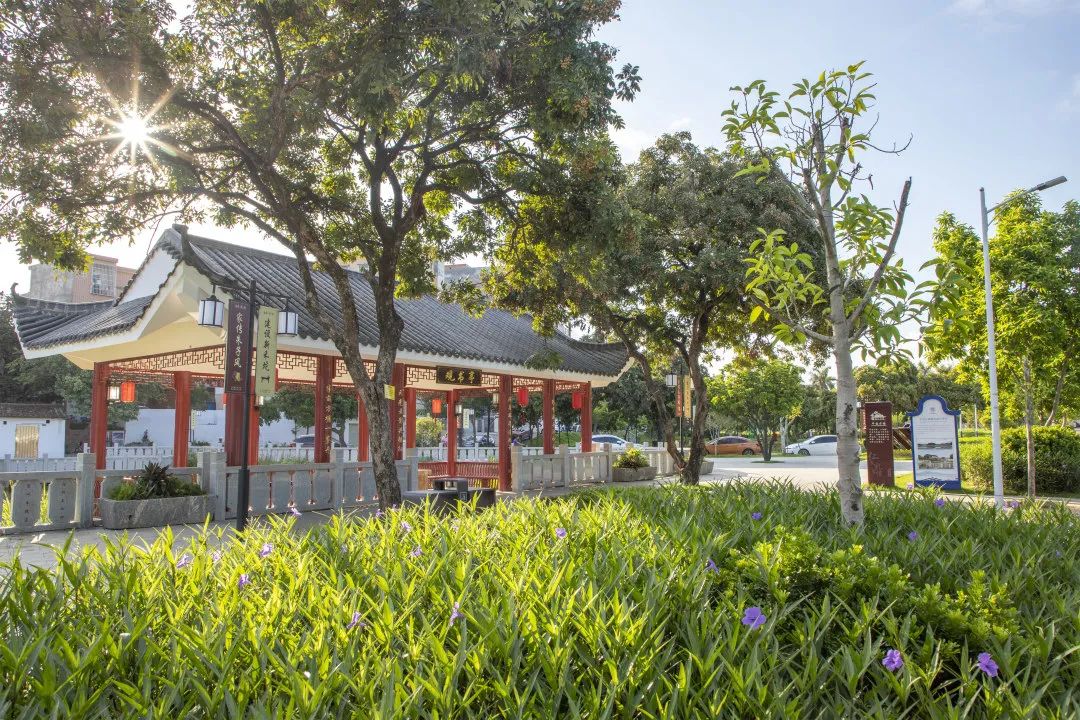 东莞桥头公园的风景也好美,东莞桥头镇旧貌