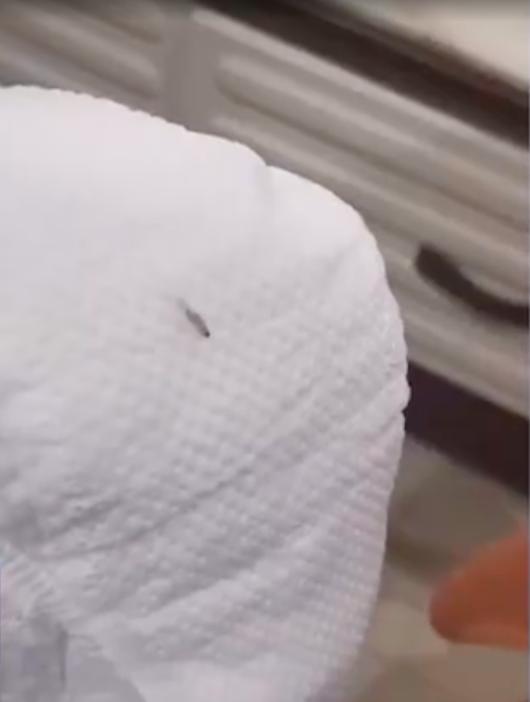 尿不湿帮宝适活动,尿不湿高温晒过了还能用吗