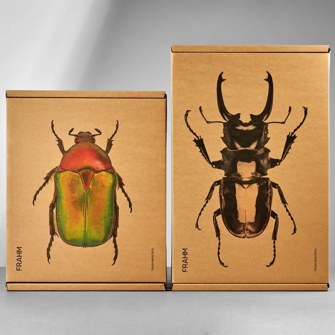 2022pentawards包装设计大赛,顶级包装设计大奖作品