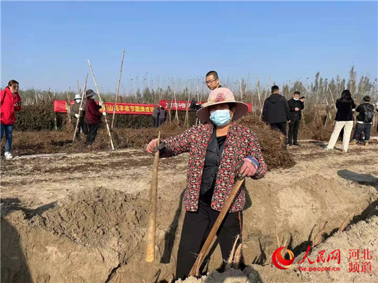 河北麻山药产量,河北麻山药占全国总产量多少