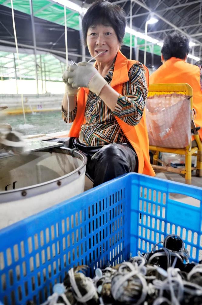 苏宁阳澄湖大闸蟹,苏宁易购官网阳澄湖大闸蟹