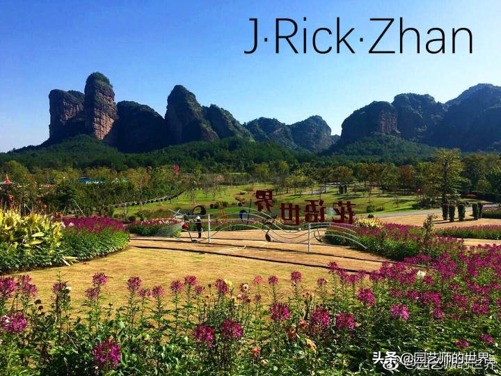 高尔夫果岭草坪家庭院子种植,麦冬草坪种植方法和注意事项