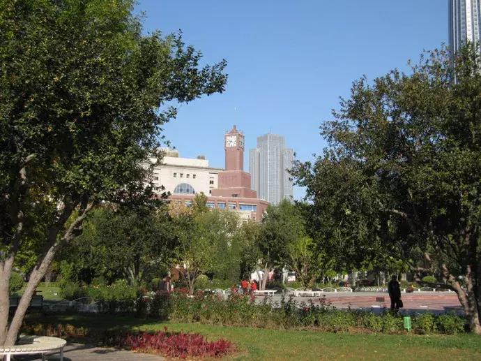 天津春天踏青好地方,天津武清踏青好去处