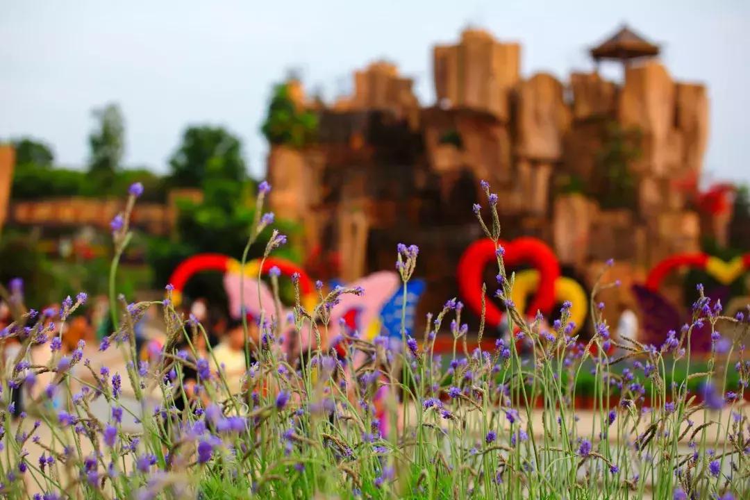 东莞理工学院城市学院新生群,东莞理工学院城市学院英语系