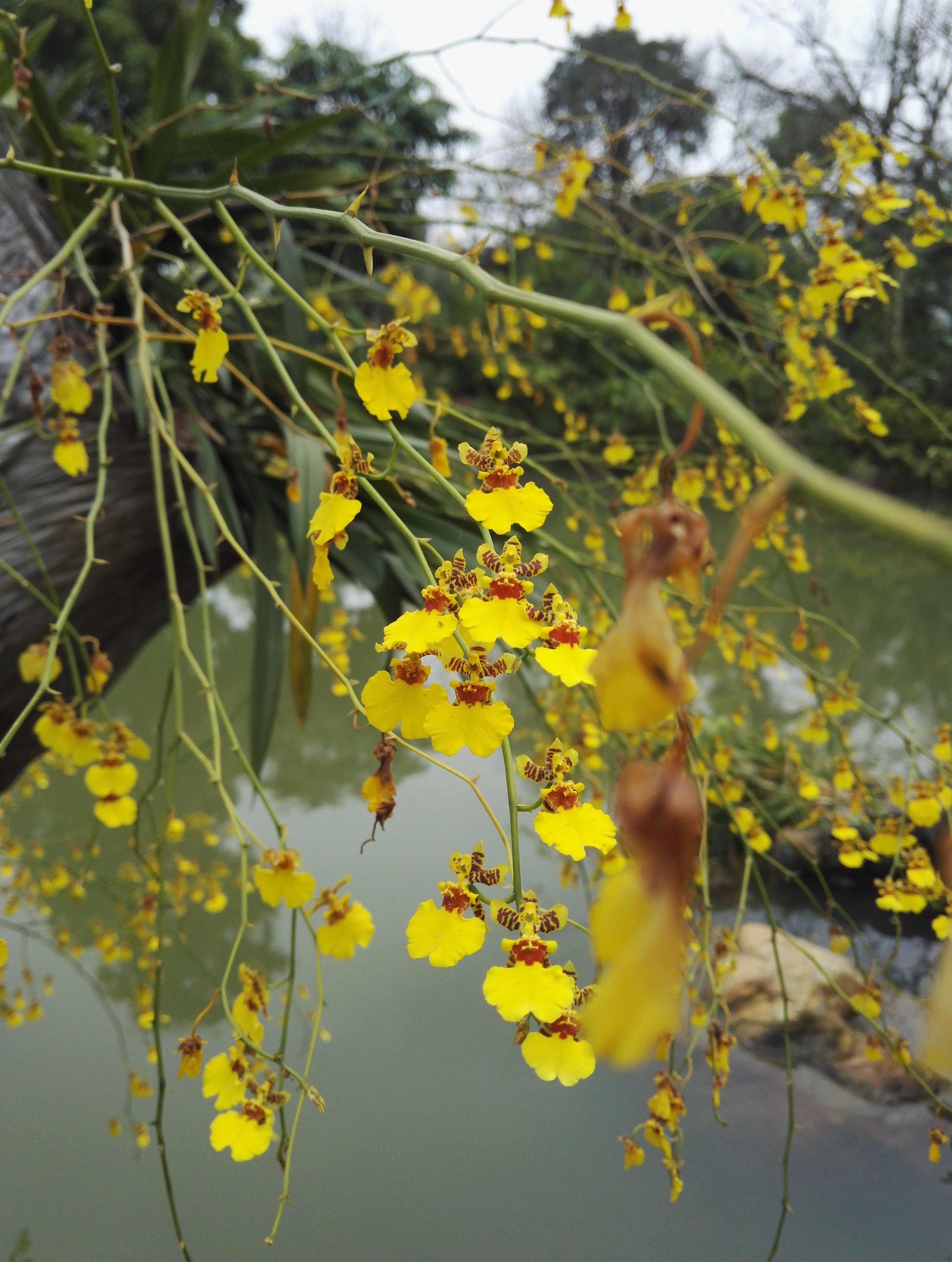 曾经特别火的拍照手机,那些年的拍照手机