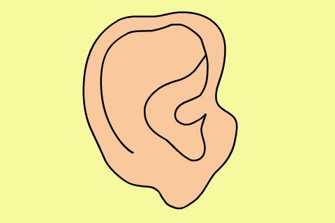 法国男女之间比较亲切的称呼,法国人对恋人的称呼