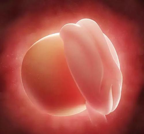 婴儿出生谁先抱最好,婴儿出生第一个人抱有什么说法