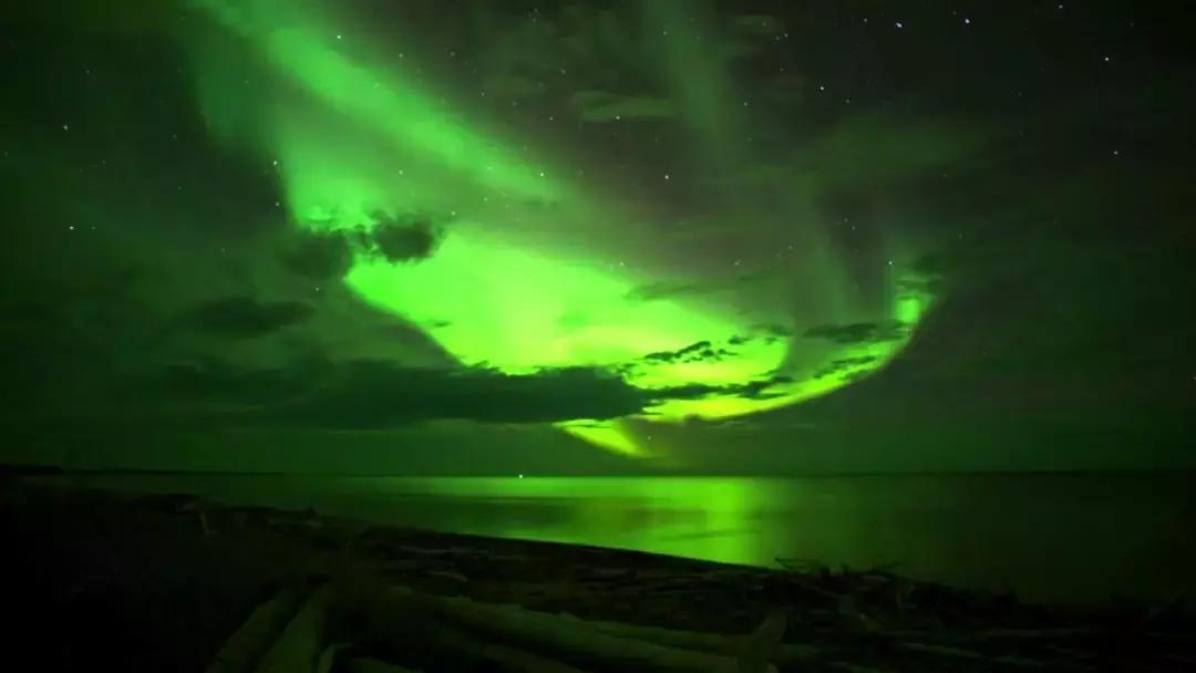 斑马旅游优缺点,斑马旅游2019