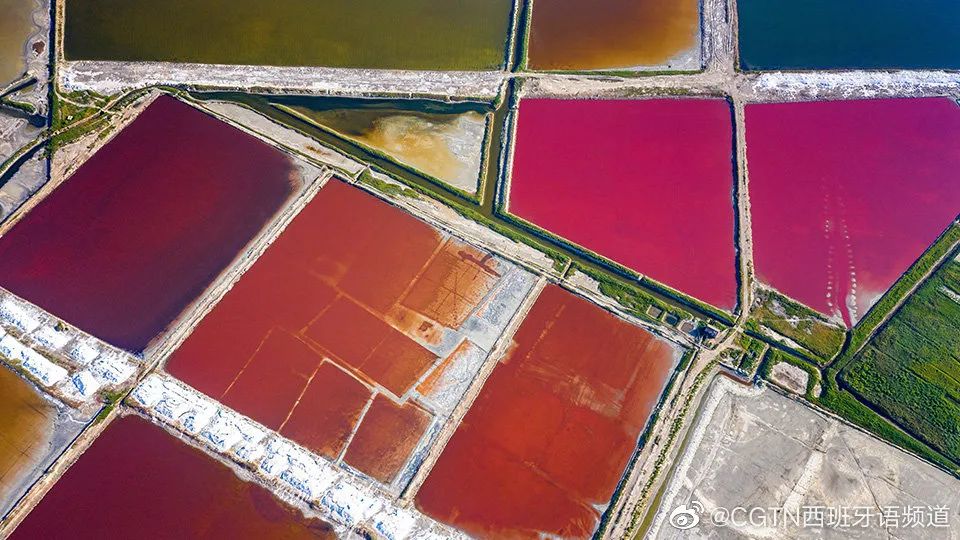 你们听说过死海吗,你听说过海洋中的强大生物吗