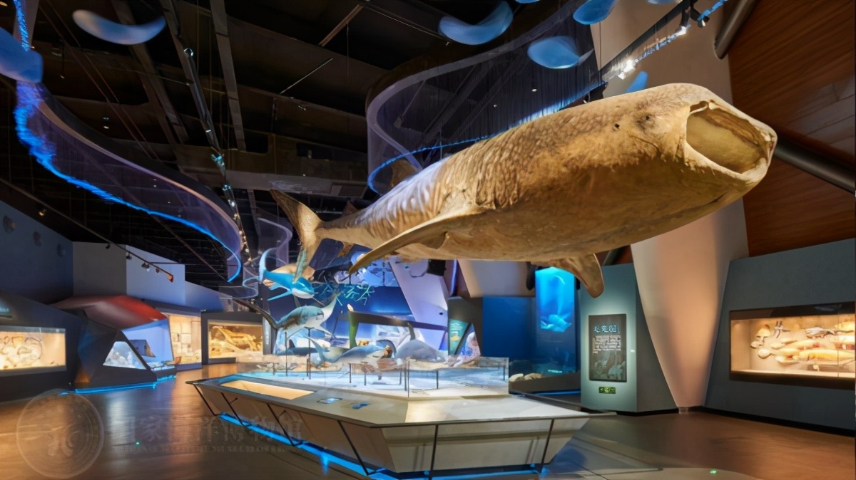 国家海洋博物馆游玩需要多久,天津生态城国家海洋博物馆