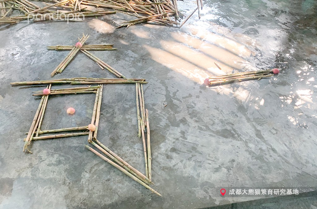 做塑料姐妹,真正的塑料姐妹是什么样的