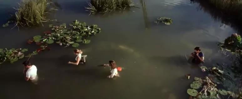 怪兽片盘点,年度最强怪兽片