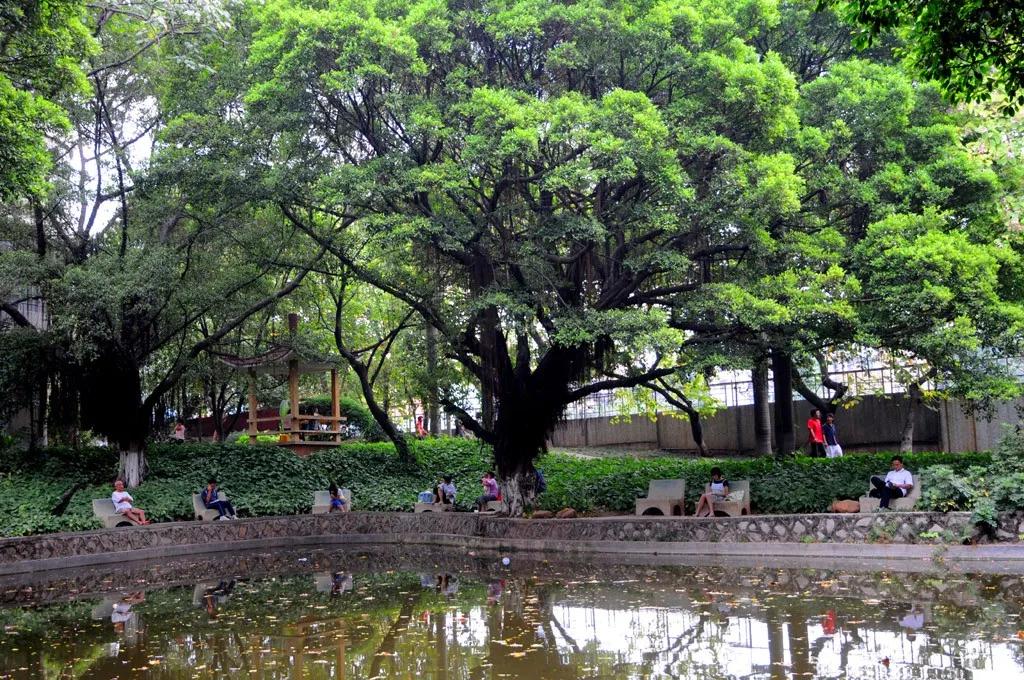 广东第二师范学院数学系,广东第二师范学院分数线